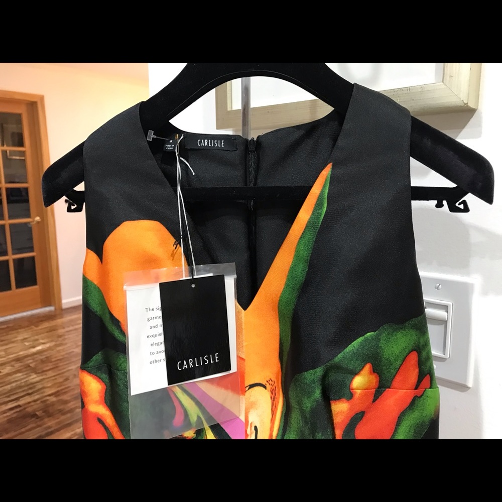 Dress - Picture 5 of 10